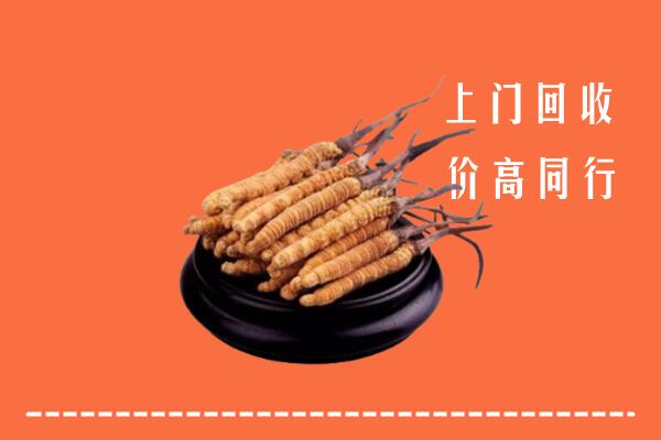 高价求购：沈阳法库县回收散虫草