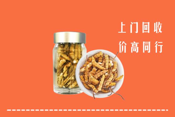 沈阳法库县回收冬虫夏草